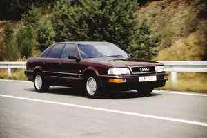 1989 V8 (D11)